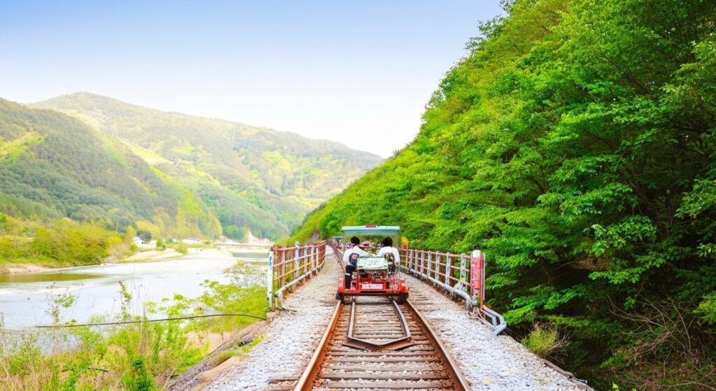 Whisk_d2a12e69fd908b5ae85488a0c60f139adr