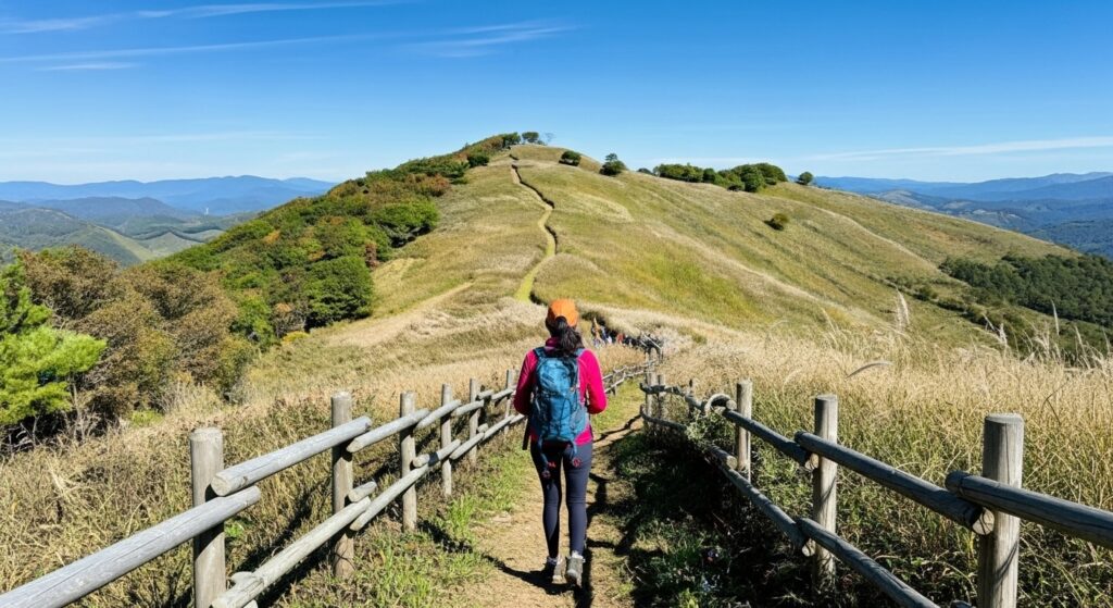 Whisk_e9822debeebb606abda4d7d1ded3f018dr